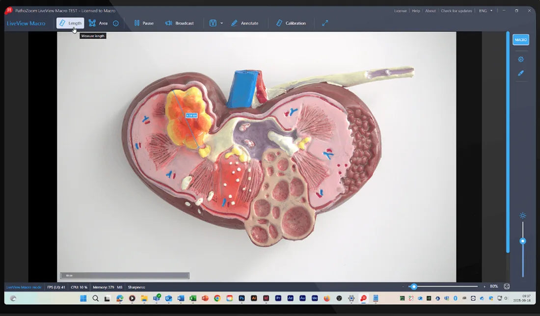 LiveView Macro software measuring a specimen